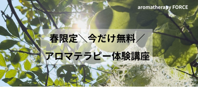 春限定\今だけ無料/アロマテラピー体験講座